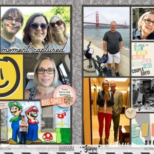 2016 Project Life Week 29 (24x12)