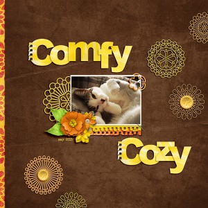 comfy cozy