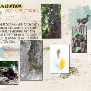 There once was a tree