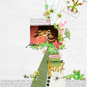 2005:Frogs!