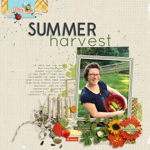 Summer Harvest