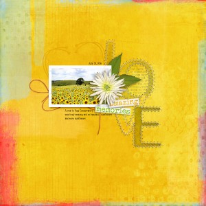 Love - Sunflower Fields