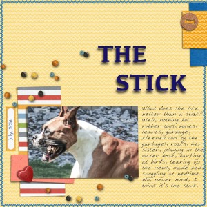 The-stick-template