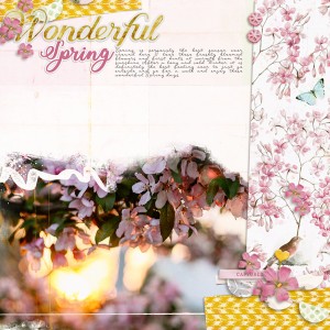 Wondeful Spring