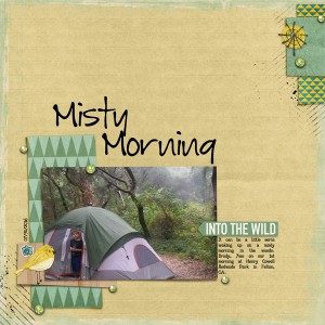 Misty Morning