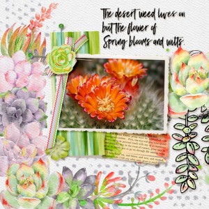 The Desert Weed Lives PB