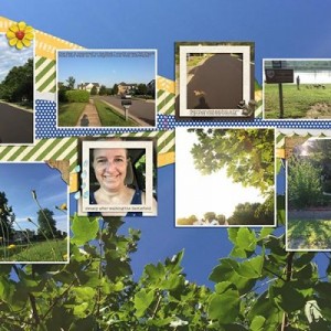 August - July Walks