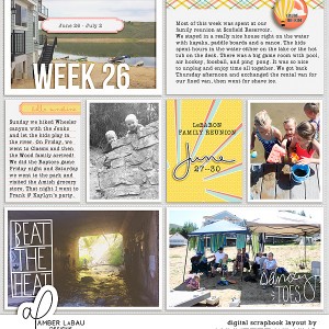 2016 week 26 - left side