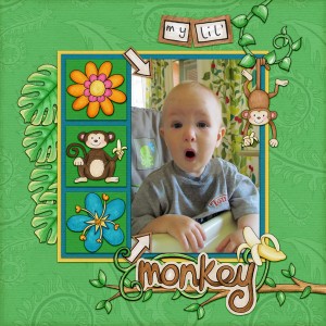 My-Little-Monkey