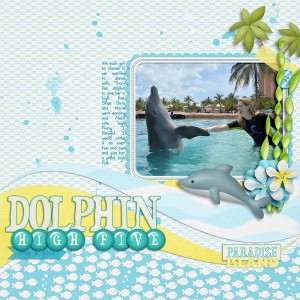 Dolphin High Five