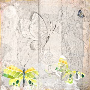 Butterflies are Free