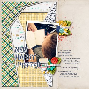 New Harry Potter