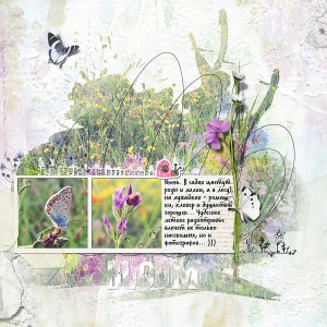 Meadow Flowers