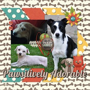 Pawsitively adorable