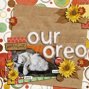 Our Oreo