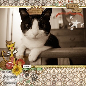 Queen Kitty