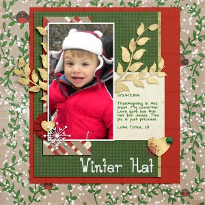 Winter Hat