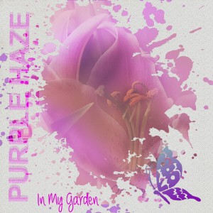 In-My-Garden