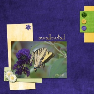 Swallowtail Scaled