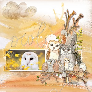 Owl