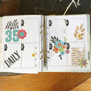 August wk 4