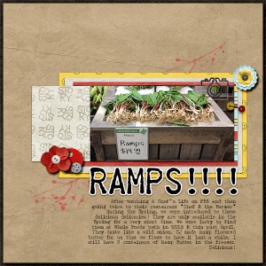 RAMPS!!   [20160817speedscrap]