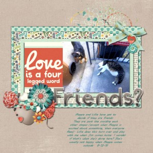 Friends