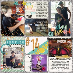 Week-31-z-aug-8-14
