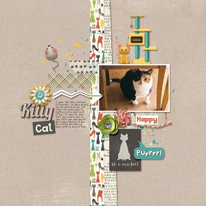 Kitty Cat