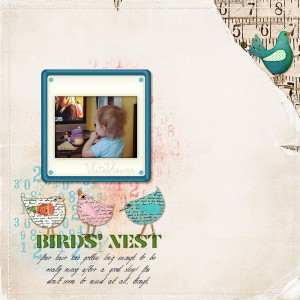 Birds' Nest