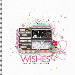 A Hundred Wishes