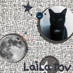 #BlackCatAppreciationDay