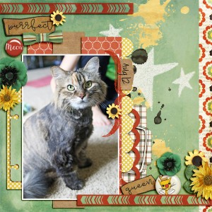 Purrfect Queen