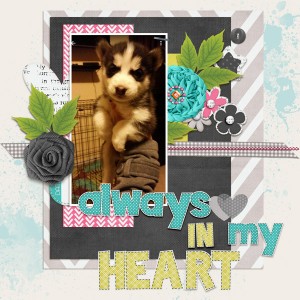 Shadow-puppy.jpg-2