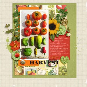 Summer Harvest