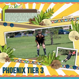 Phoenix Tier 3