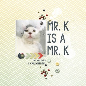 MR. K