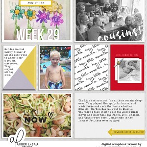 2016 week 29 - left side