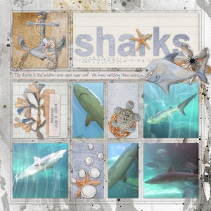 Sharks