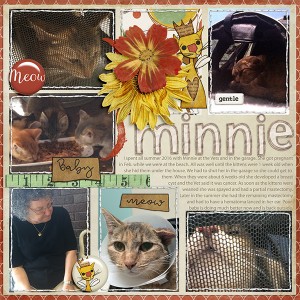 Minnie 16