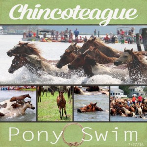 Pony-Swim