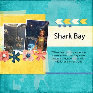 Shark-BayWeb