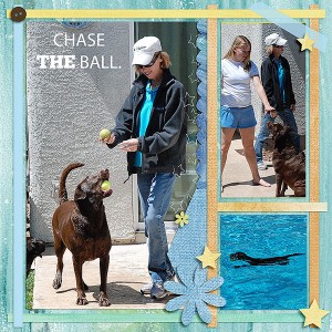 CHASE--THE-BALWebL