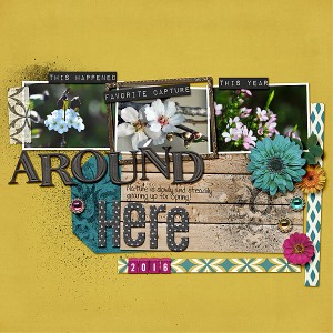 Around Here 600