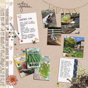 Garden Planning 2016