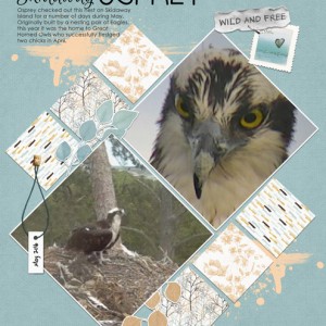 Skidaway-Osprey