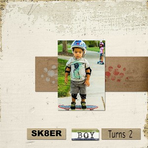 SK8ERWeb