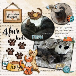 4 fur kids