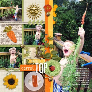 CARROTTOP