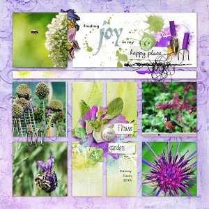 Finding Joy